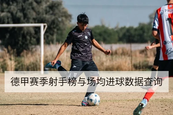 德甲赛季射手榜与场均进球数据查询